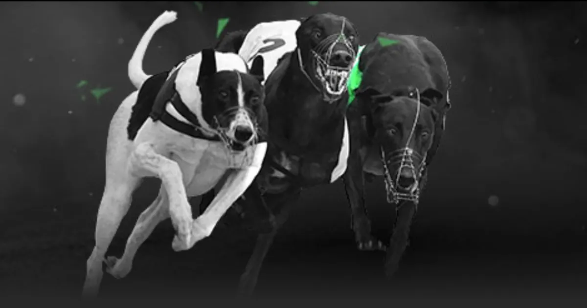 冬窗大幕开,启时间表大,揭秘,乐竞体育官网,乐竞体育官网入口,乐竞体育网站,乐竞体育,乐竞体育登录入口